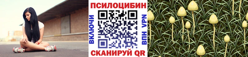 хочу   Остров  Псилоцибиновые грибы мицелий 
